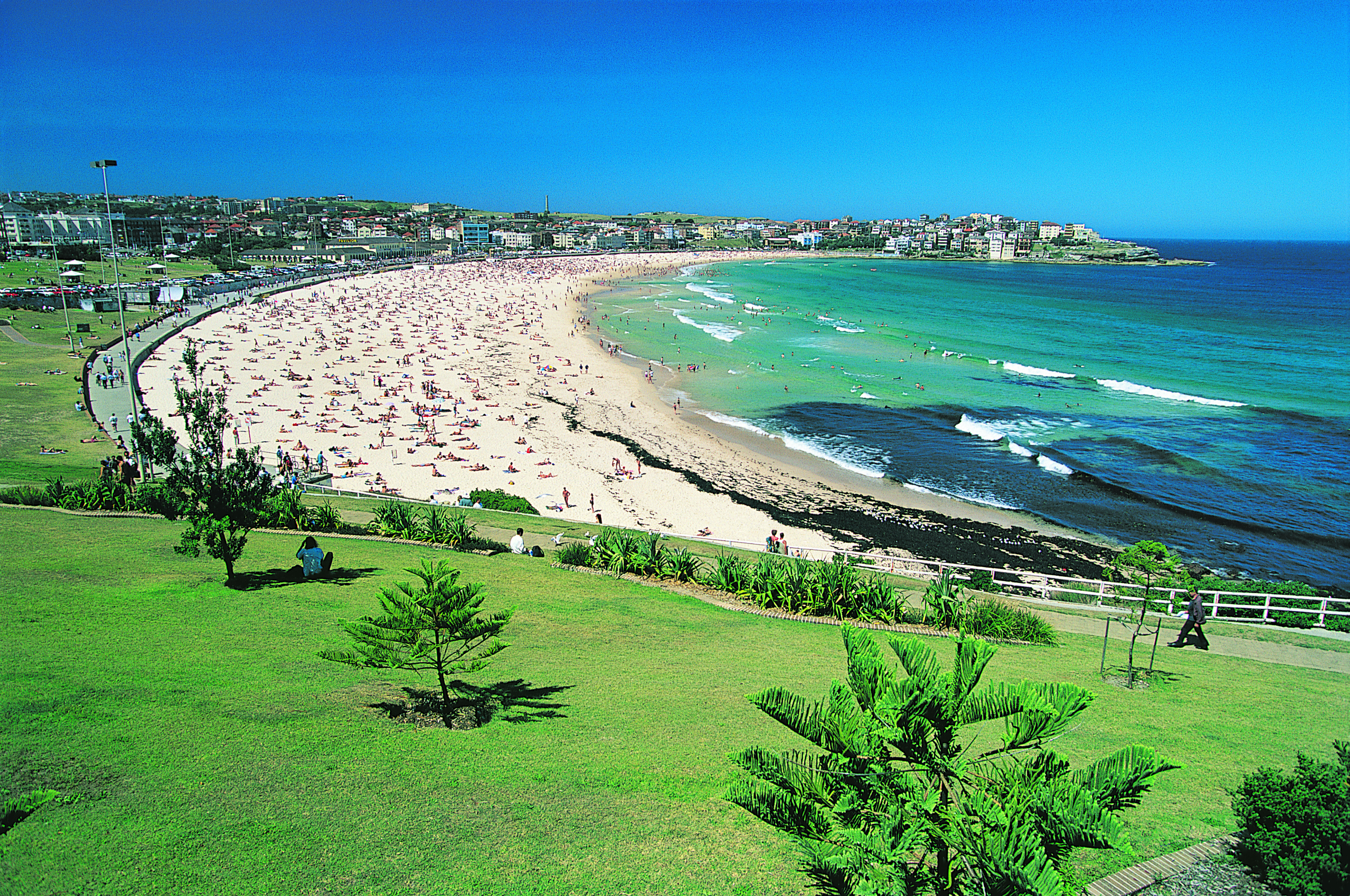 Bondi Bay